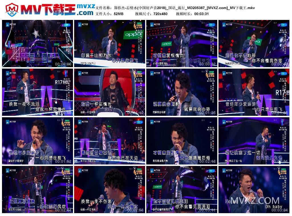 郑伟杰-忘情水(中国好声音2018)_国语_流行_MD205387